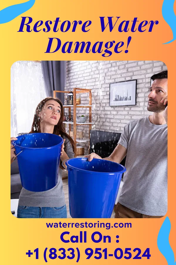 water restoration Ace Sewage Cleanup Network Rural Retreat
