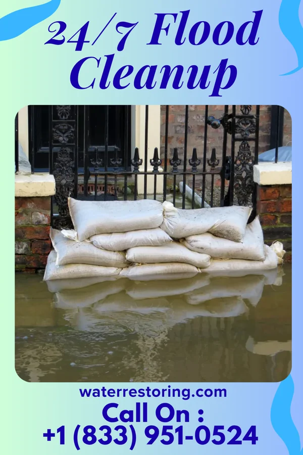 24/7 Flood Cleanup in Rural Retreat, VA
