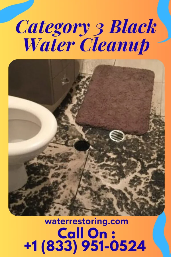Category 3 Black Water Cleanup in Rural Retreat, VA