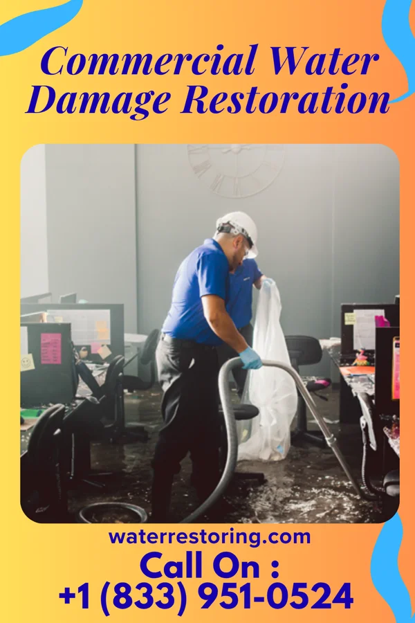 Commercial Water Damage Restoration in Rural Retreat, VA