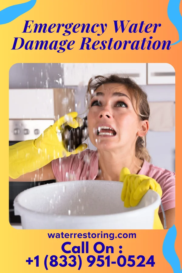 Emergency Water Damage Restoration in Rural Retreat, VA