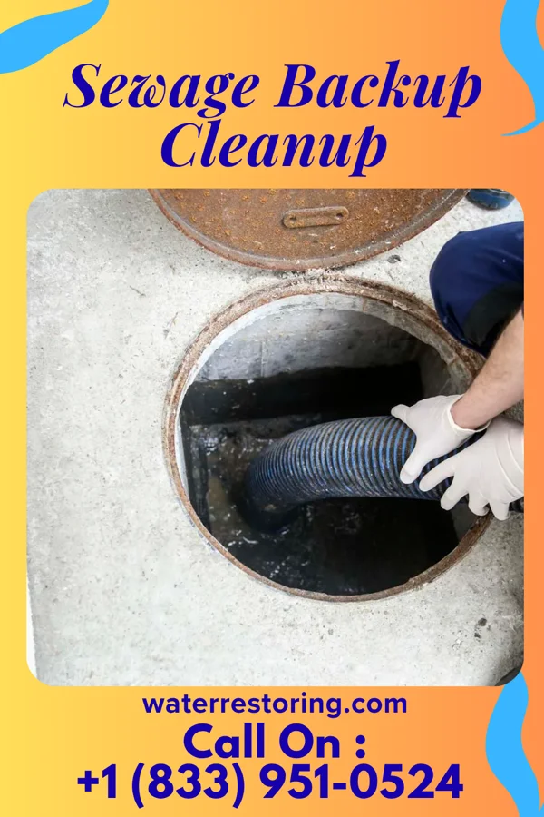 Sewage Backup Cleanup in Rural Retreat, VA