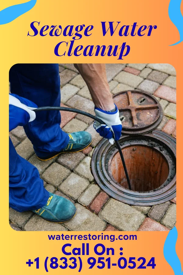 Sewage Water Cleanup in Rural Retreat, VA